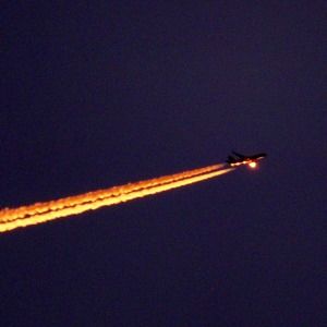 Meet your Posher, Liz