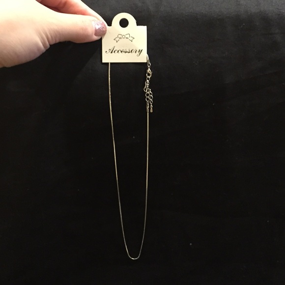 💕NWT adjustable Silver Chain💕