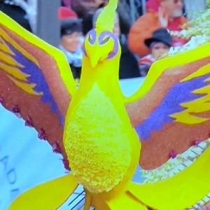 Meet your Posher, Grace