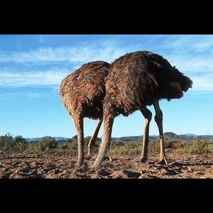 Meet your Posher, Sajid