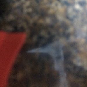 Meet your Posher, Shri