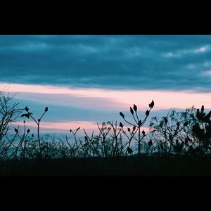 Meet your Posher, Ella