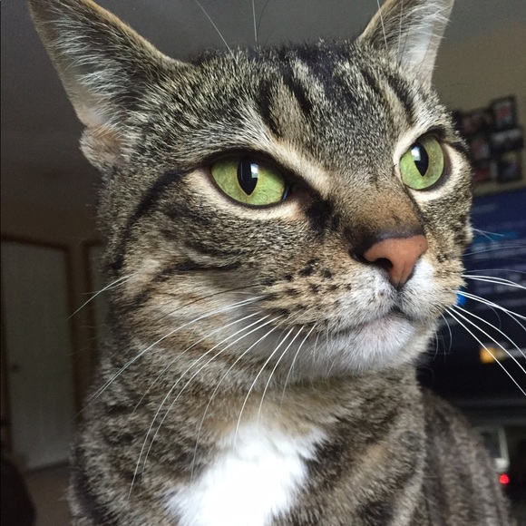 💗Welcome 2 My Closet💗 - Picture 8 of 8