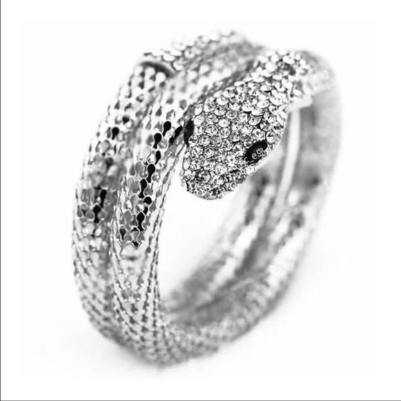 Snake Cuff  jewelry Bangle Bracelet Silver