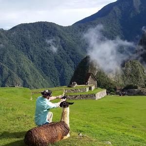 Meet your Posher, Chase