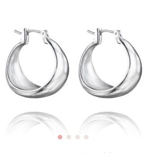 🎉flash sale! Ships tom. Silver earrings! new!