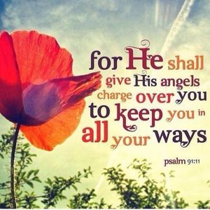 Meet your Posher, Aimee