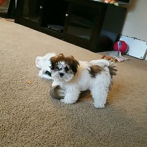 Meet your Posher, Mi