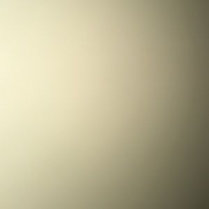 Meet your Posher, Rose