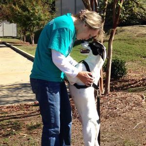 Meet your Posher, Cheryl