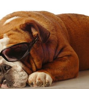 Meet your Posher, Julio