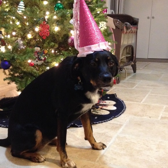 Meet your Posher, Lindsey