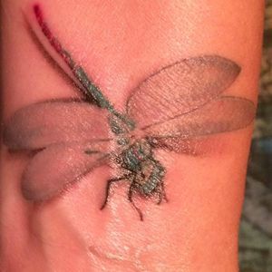 Meet your Posher, Darlene