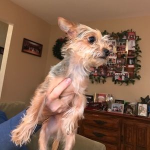 Meet your Posher, Corey