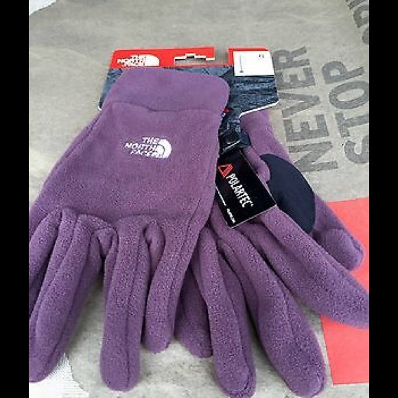 NEW The North Face Men's Saranac gloves