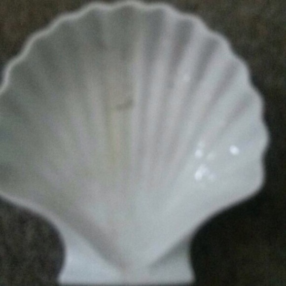 Shells - Picture 4 of 4