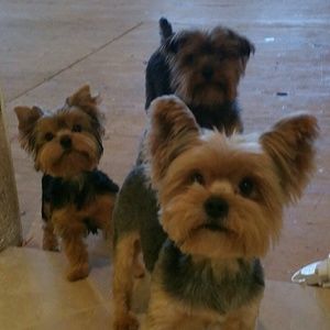 Meet your Posher, Sandra