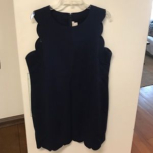 J Crew dress 16