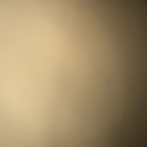 Meet your Posher, Carter