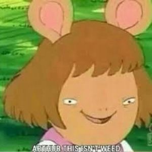 Meet your Posher, Alfredo