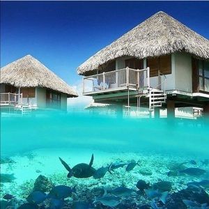 Meet your Posher, Bree