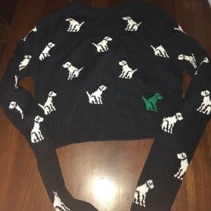 Cropped Abercrombie and Fitch Sweater