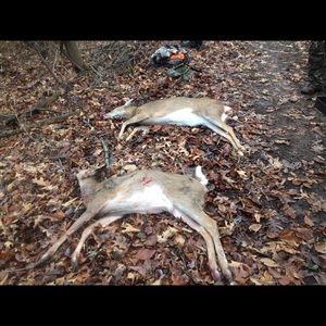 Meet your Posher, Alan