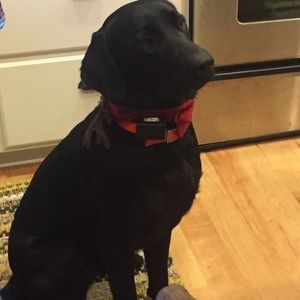 Meet your Posher, Nick