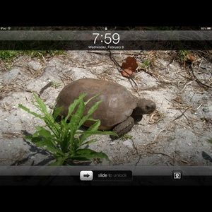 Meet your Posher, Alexandra