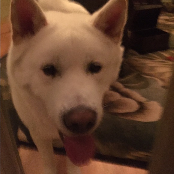 Meet your Posher, Erica - Picture 1 of 1