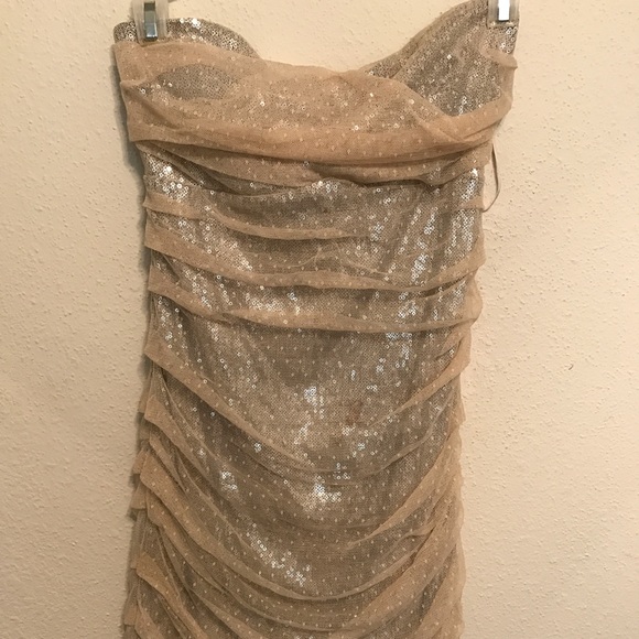 Express Gold exterior with silver sequins