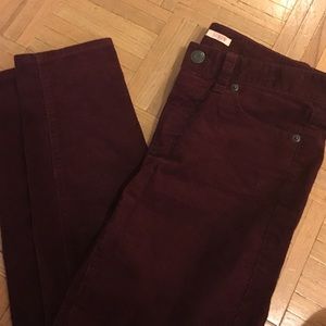 J.Crew Maroon Corduroy pant