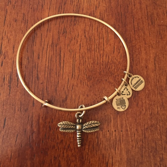Alex and Ani Dragonfly charm bracelet