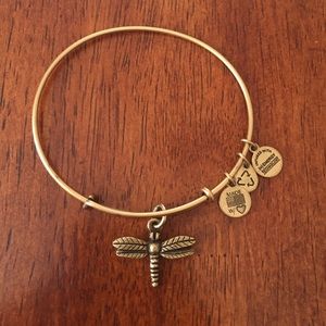 Alex and Ani Dragonfly charm bracelet