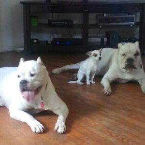 Meet your Posher, Eric