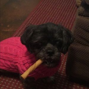 Meet your Posher, Grace