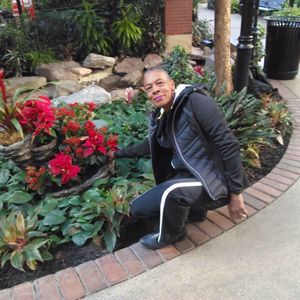 Meet your Posher, Willietts