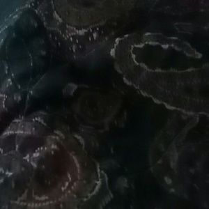 Meet your Posher, Earleen