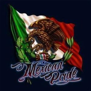 Meet your Posher, Miguel