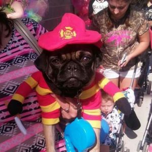 Meet your Posher, Jeffery