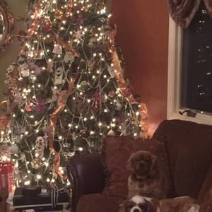 Meet your Posher, Barbara