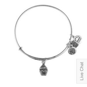 Alex and Ani cupcake bangle bracelet