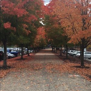 Meet your Posher, Arun