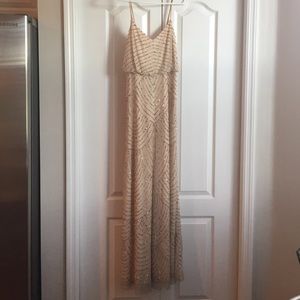 Adrianna Papell gown