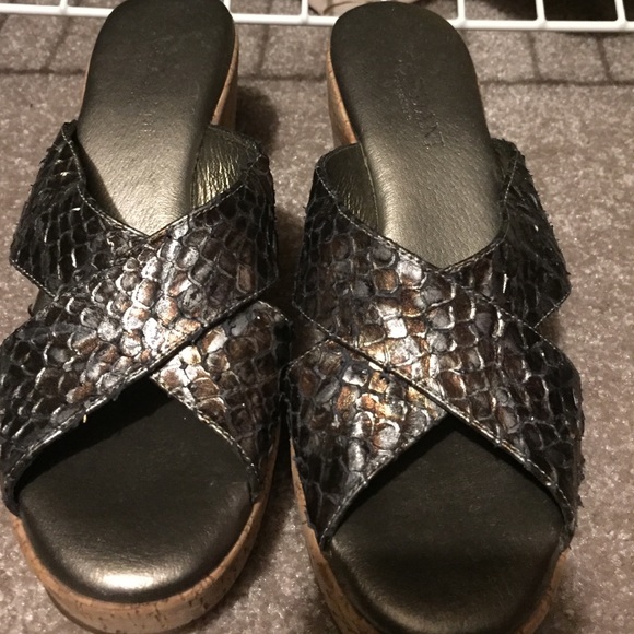 Cordani wedges