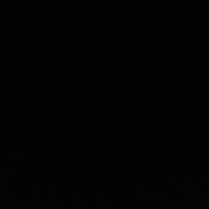 Meet your Posher, Osaro