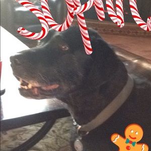 Meet your Posher, Vicki