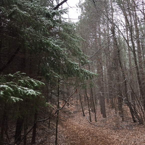 Meet your Posher, Chantel