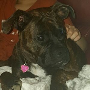 Meet your Posher, Beverly