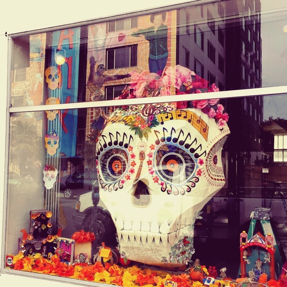 Meet your Posher, Shannon - Picture 4 of 4